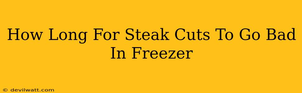 How Long For Steak Cuts To Go Bad In Freezer