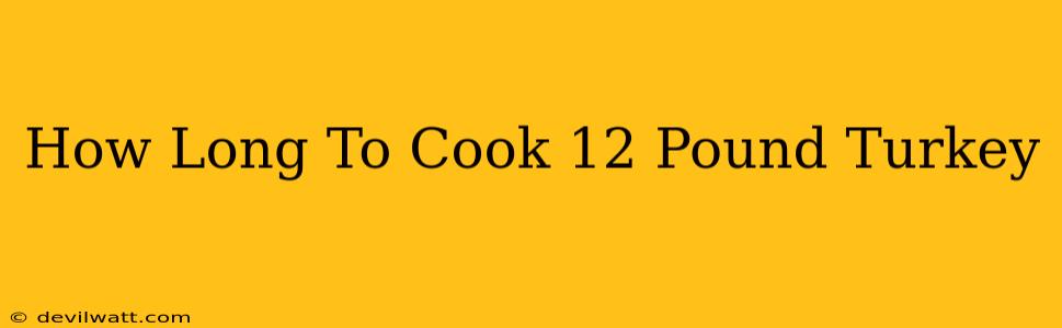 How Long To Cook 12 Pound Turkey