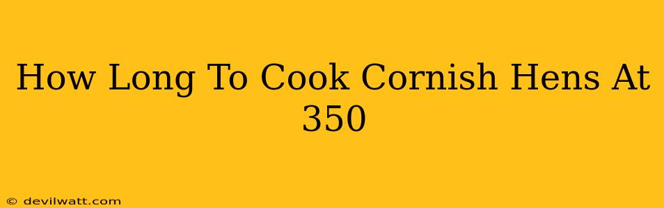 How Long To Cook Cornish Hens At 350