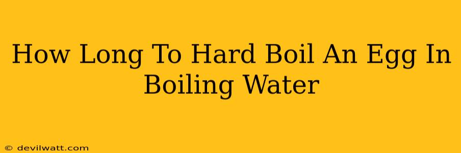 How Long To Hard Boil An Egg In Boiling Water