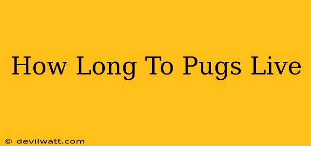 How Long To Pugs Live