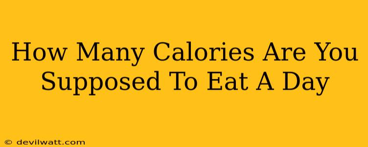 How Many Calories Are You Supposed To Eat A Day