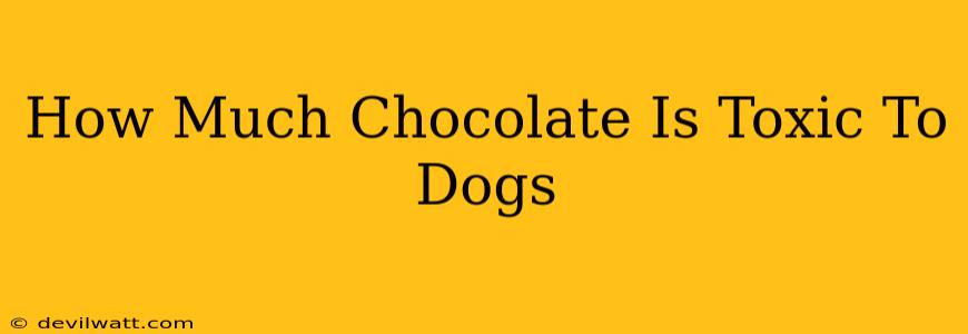 How Much Chocolate Is Toxic To Dogs