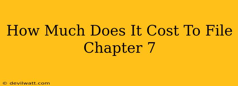 How Much Does It Cost To File Chapter 7