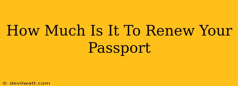 How Much Is It To Renew Your Passport