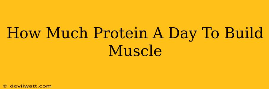 How Much Protein A Day To Build Muscle