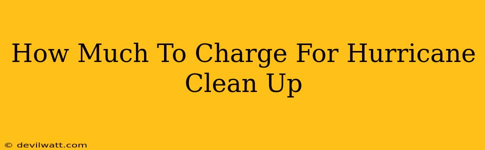 How Much To Charge For Hurricane Clean Up