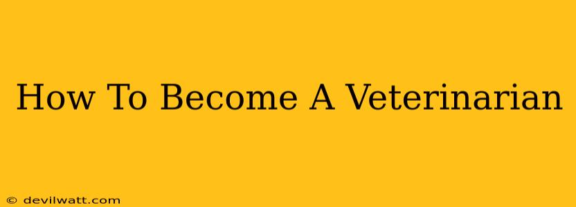 How To Become A Veterinarian