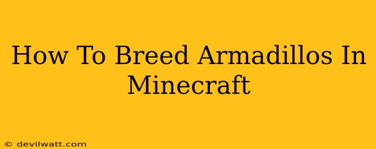 How To Breed Armadillos In Minecraft