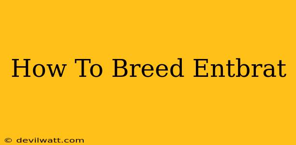 How To Breed Entbrat