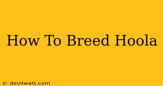 How To Breed Hoola