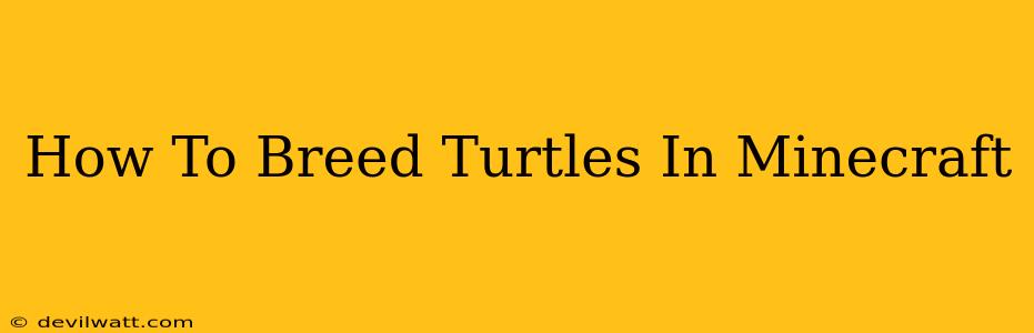 How To Breed Turtles In Minecraft