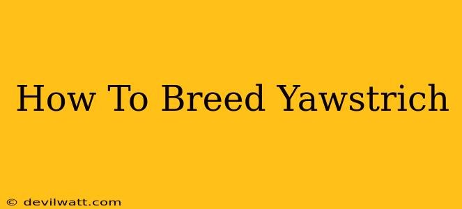 How To Breed Yawstrich