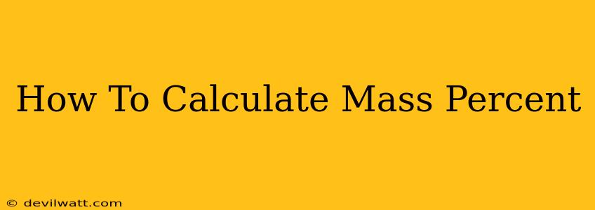 How To Calculate Mass Percent