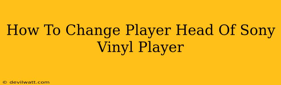 How To Change Player Head Of Sony Vinyl Player