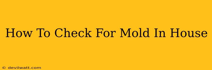 How To Check For Mold In House