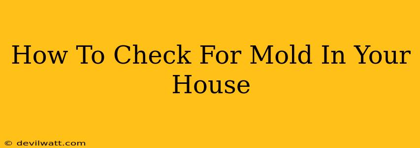 How To Check For Mold In Your House