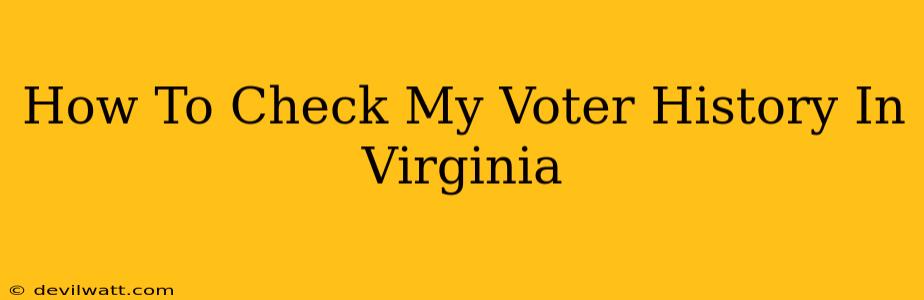 How To Check My Voter History In Virginia