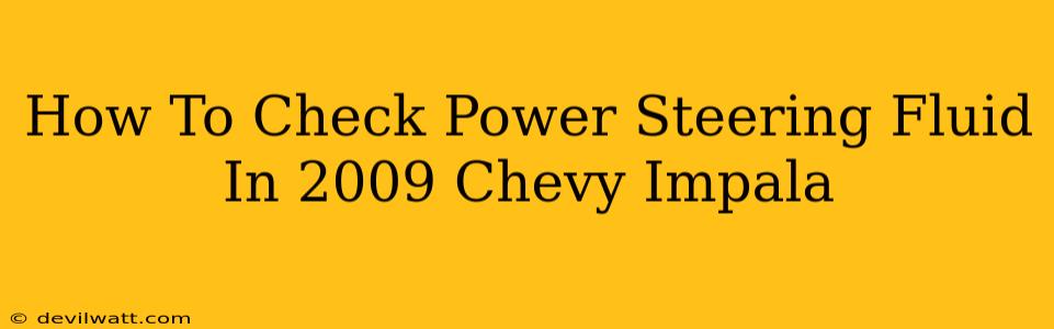 How To Check Power Steering Fluid In 2009 Chevy Impala