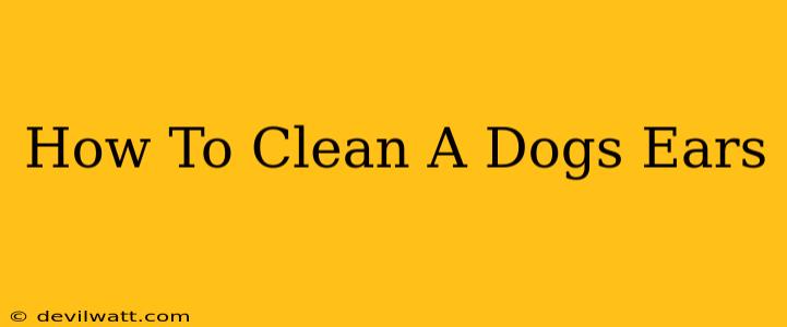 How To Clean A Dogs Ears