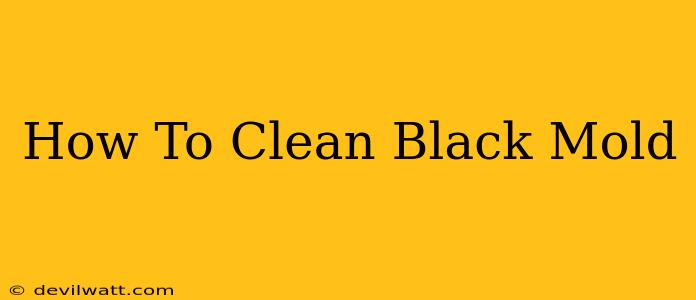 How To Clean Black Mold