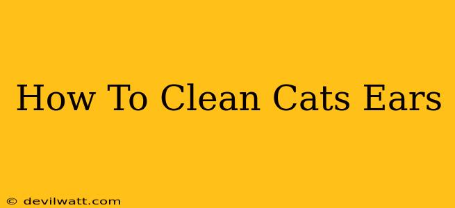 How To Clean Cats Ears