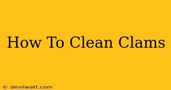 How To Clean Clams