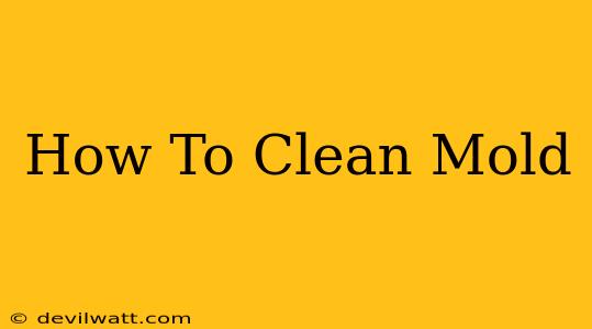 How To Clean Mold