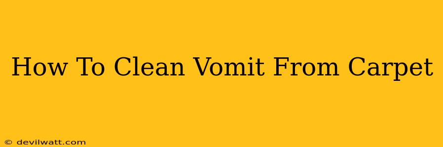 How To Clean Vomit From Carpet