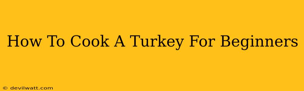 How To Cook A Turkey For Beginners