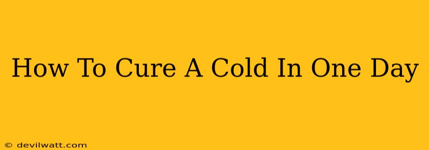 How To Cure A Cold In One Day