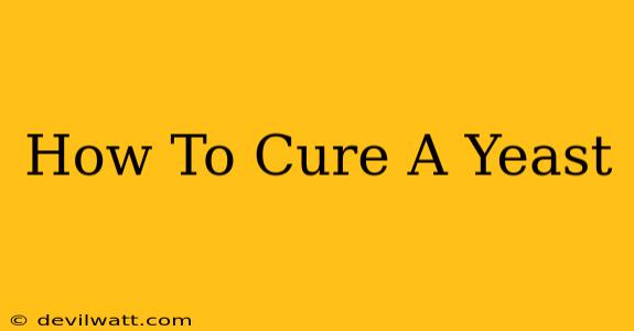 How To Cure A Yeast