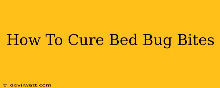 How To Cure Bed Bug Bites