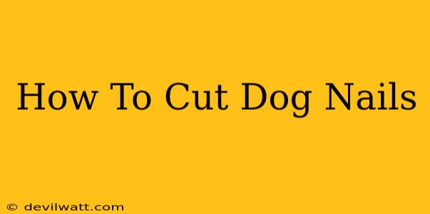 How To Cut Dog Nails