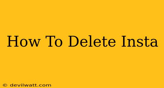 How To Delete Insta