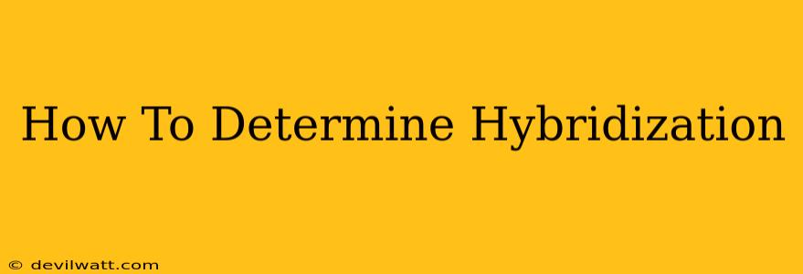 How To Determine Hybridization