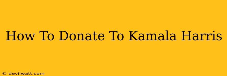 How To Donate To Kamala Harris