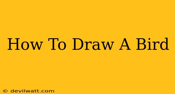 How To Draw A Bird