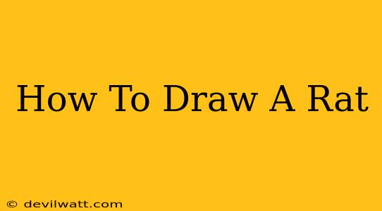 How To Draw A Rat