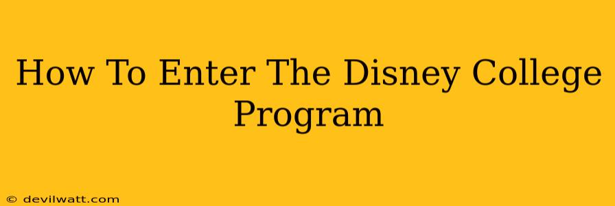 How To Enter The Disney College Program