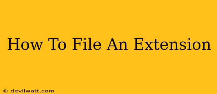 How To File An Extension