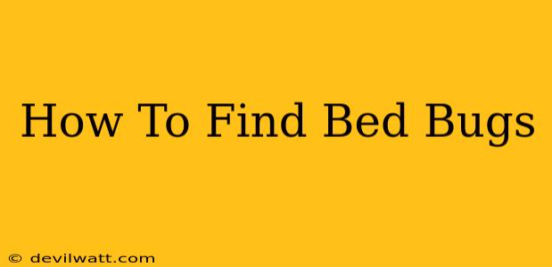 How To Find Bed Bugs