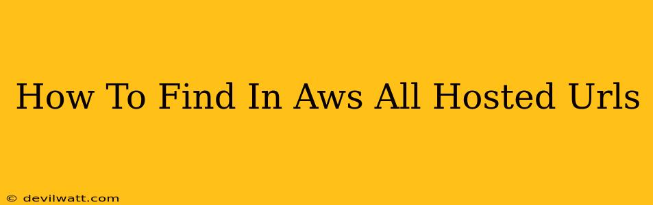 How To Find In Aws All Hosted Urls