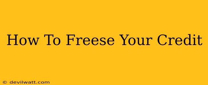 How To Freese Your Credit