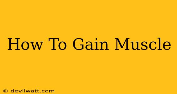 How To Gain Muscle