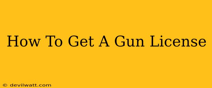 How To Get A Gun License