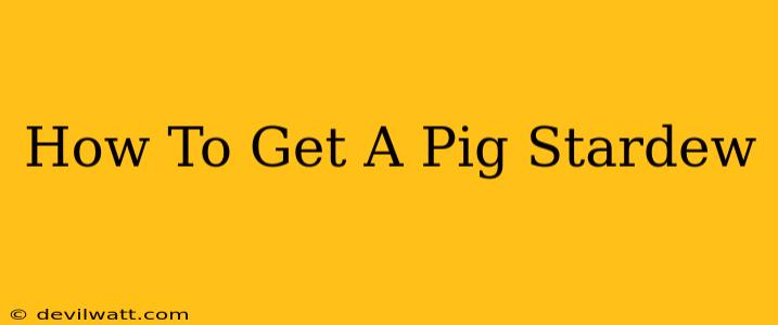 How To Get A Pig Stardew