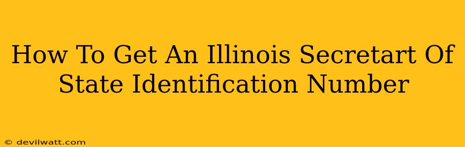 How To Get An Illinois Secretart Of State Identification Number