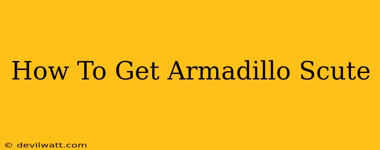 How To Get Armadillo Scute