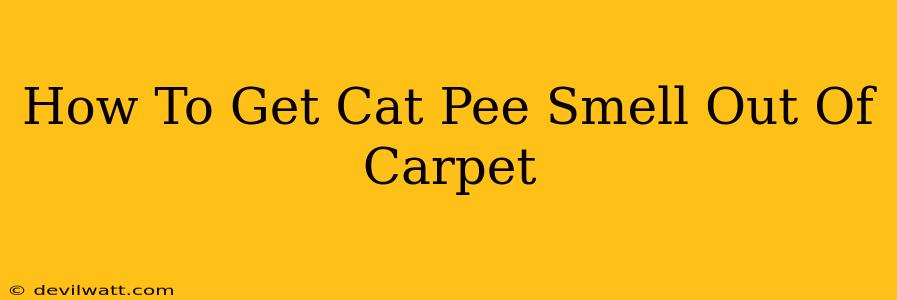 How To Get Cat Pee Smell Out Of Carpet